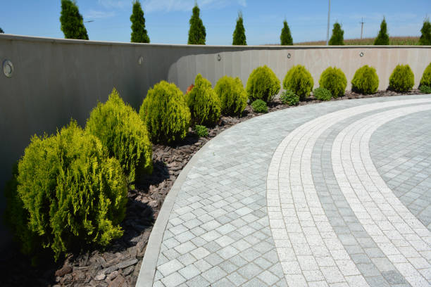 Best Custom Driveway Pavers  in Round Lake Beach, IL